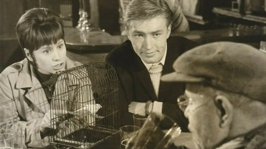 Медиа изображение