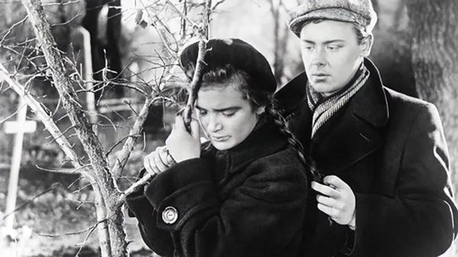 Медиа изображение