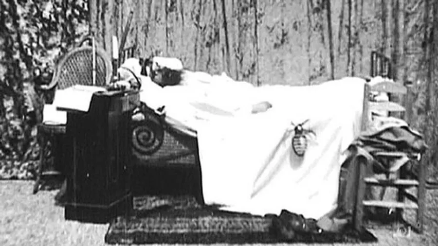 Медиа изображение