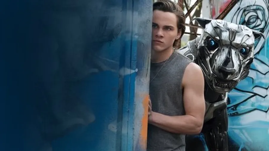 Медиа изображение