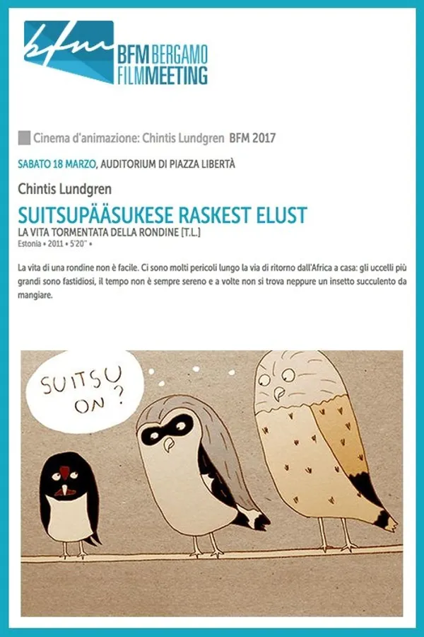 About the Hard Life of the Barn Swallow