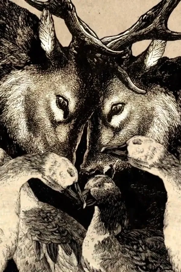 Медиа изображение