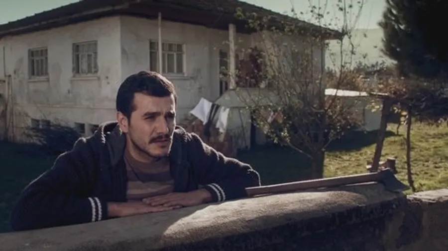 Медиа изображение