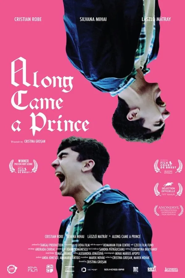 Along Came a Prince