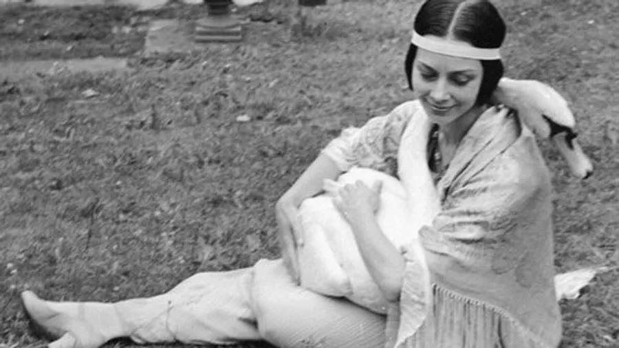 Медиа изображение