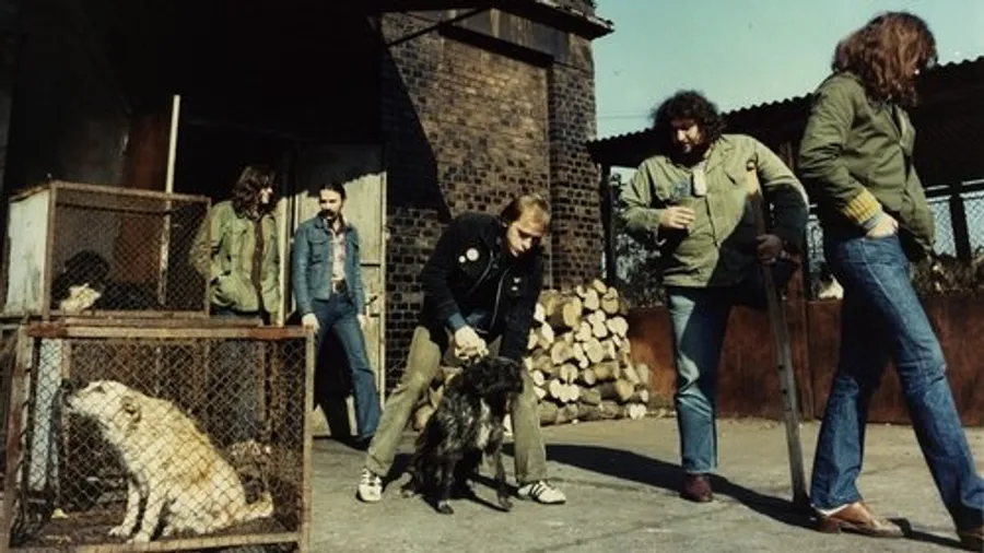 Медиа изображение