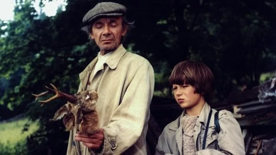 Медиа изображение