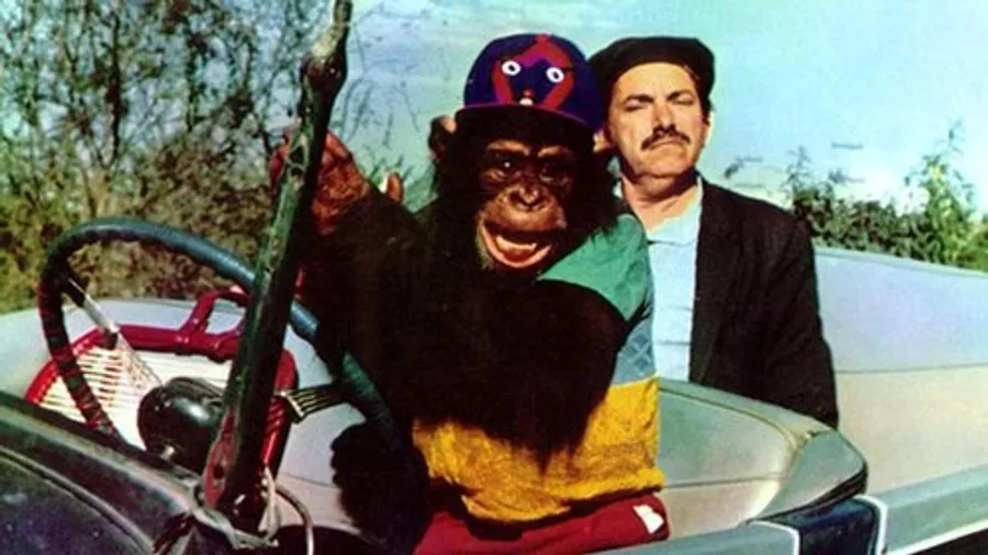 Медиа изображение