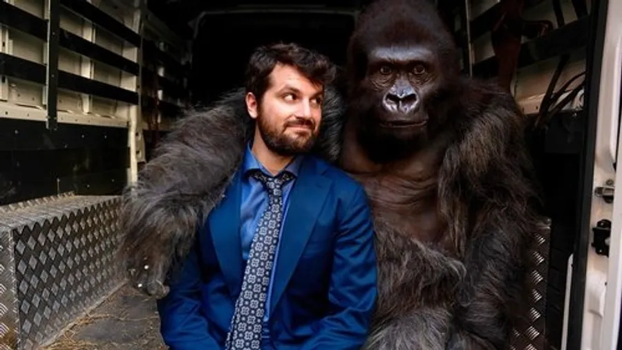 Медиа изображение