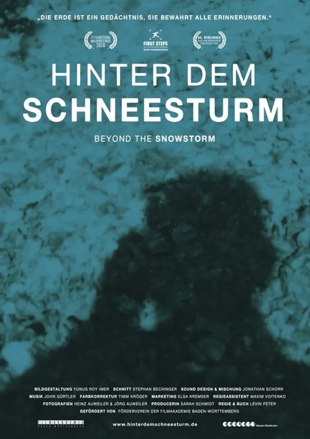 Beyond the Snowstorm
