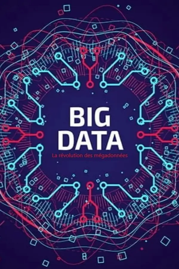 Big Data - La révolution des mégadonnées