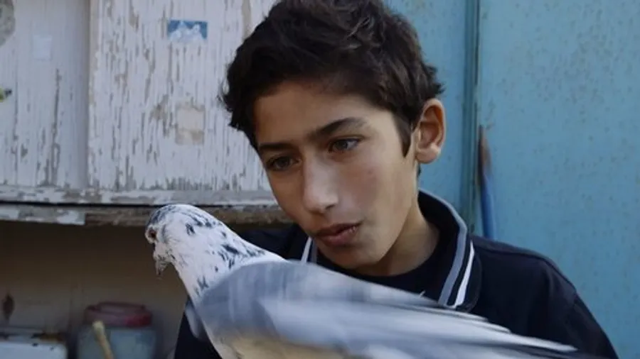 Медиа изображение