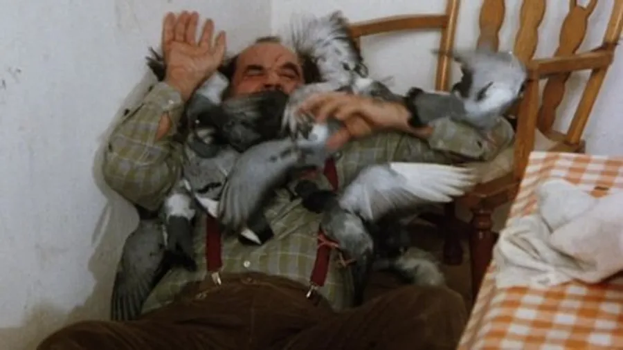 Медиа изображение