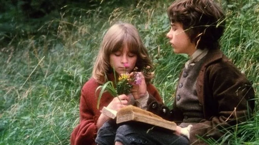 Медиа изображение