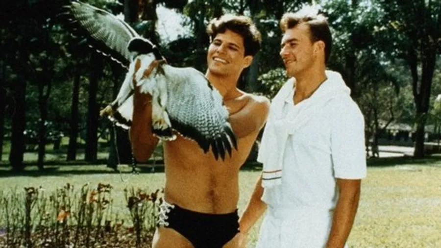 Медиа изображение