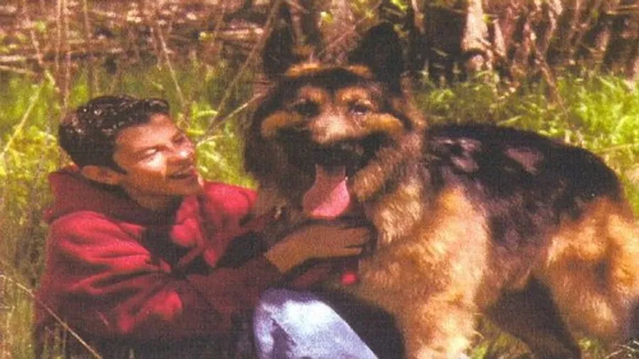 Медиа изображение