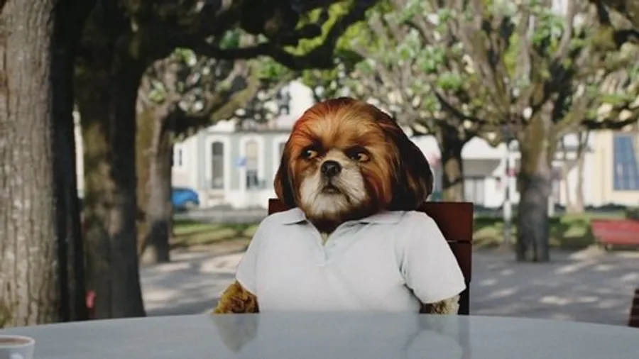 Медиа изображение