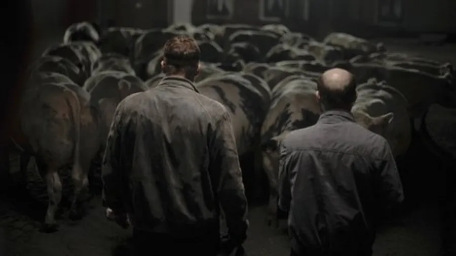 Медиа изображение