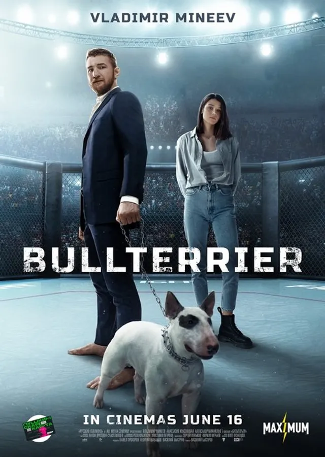 Медиа изображение