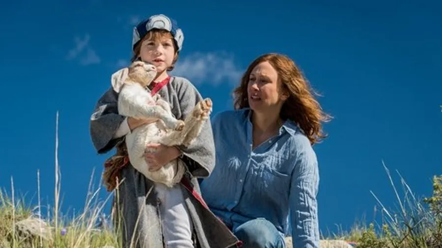 Медиа изображение