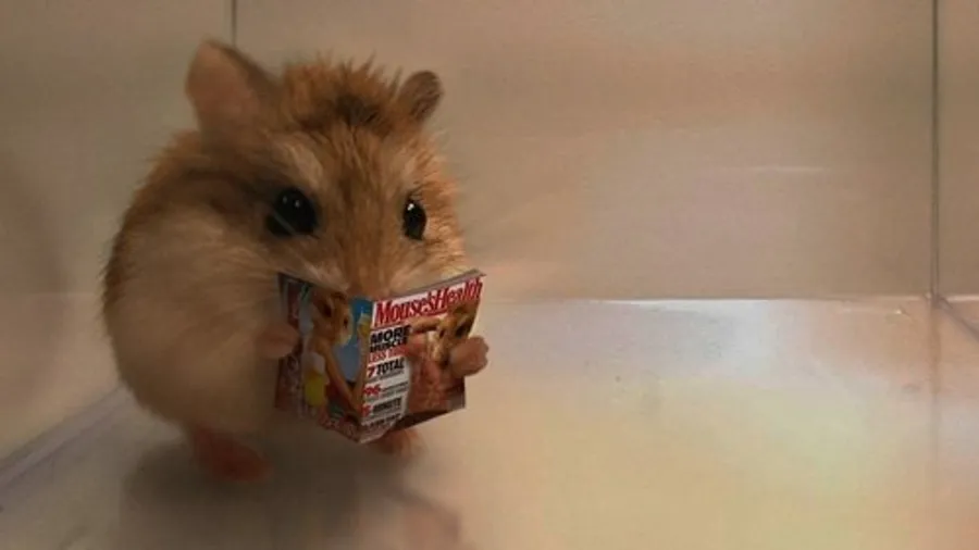 Медиа изображение