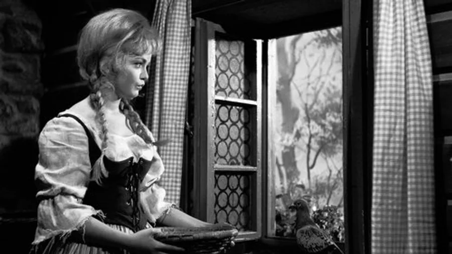 Медиа изображение