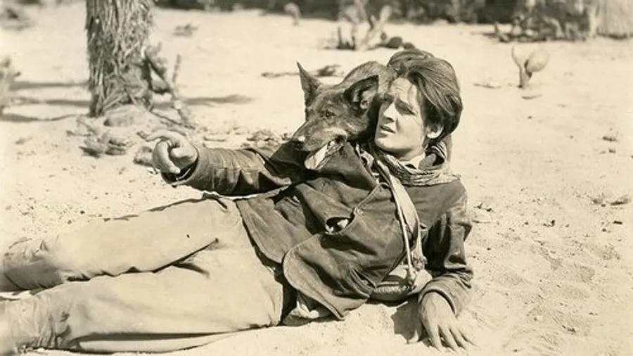 Медиа изображение