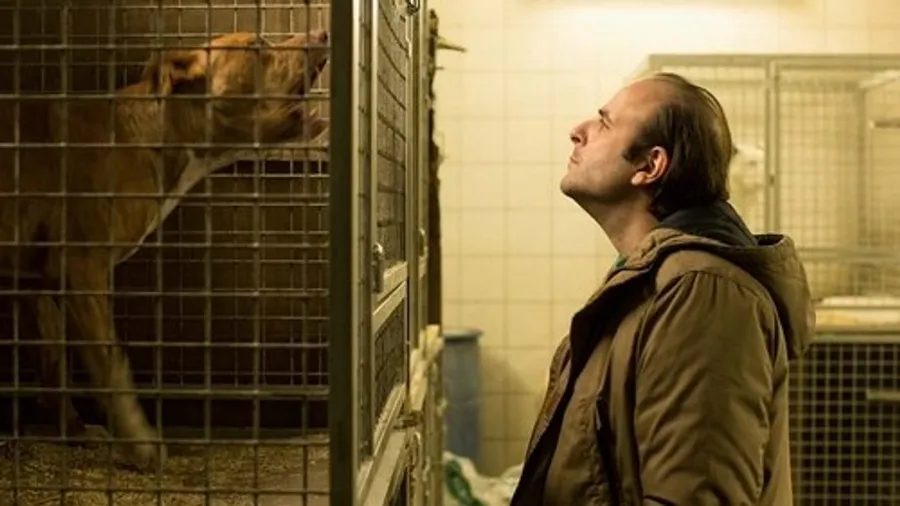 Медиа изображение