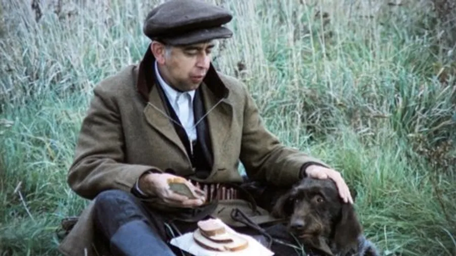 Медиа изображение