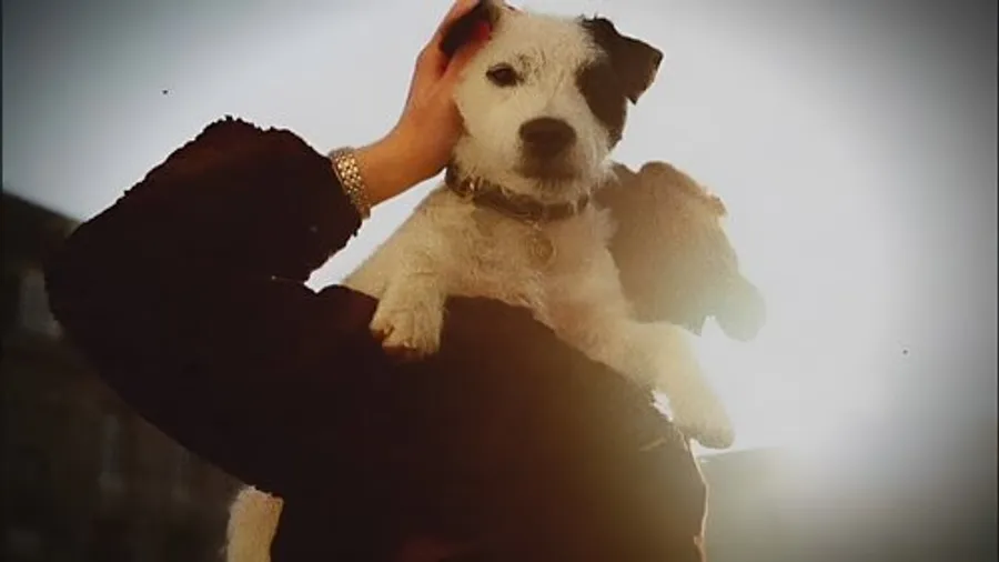 Медиа изображение