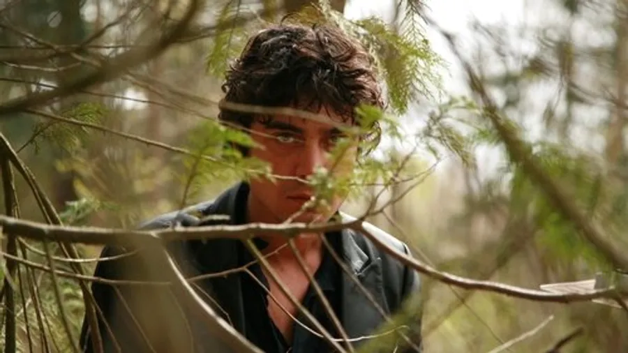 Медиа изображение