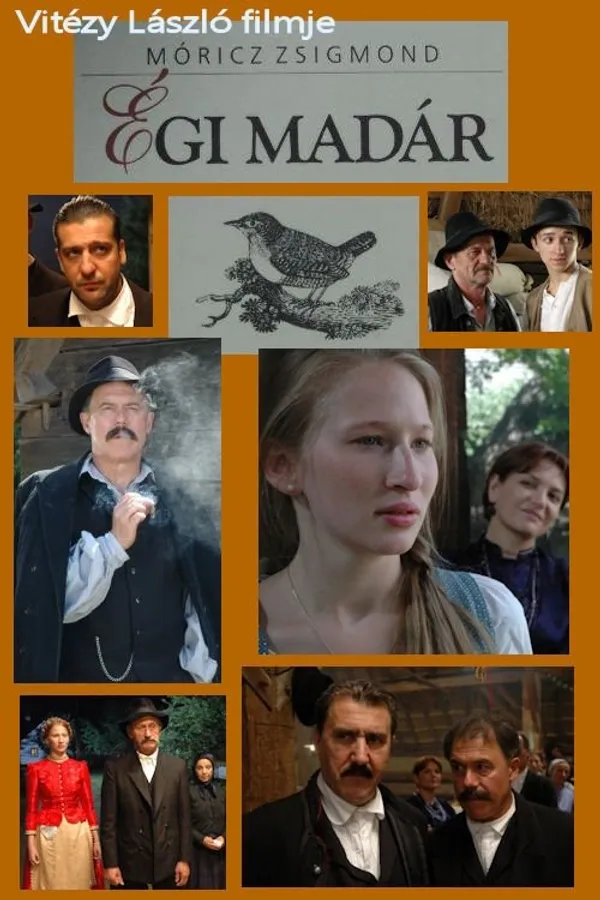 Медиа изображение