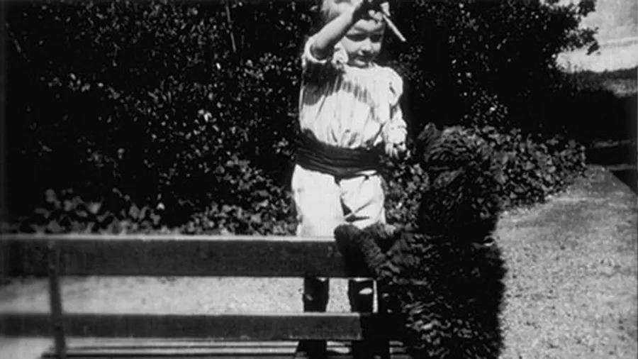 Медиа изображение