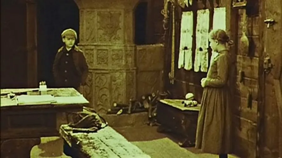 Image 7