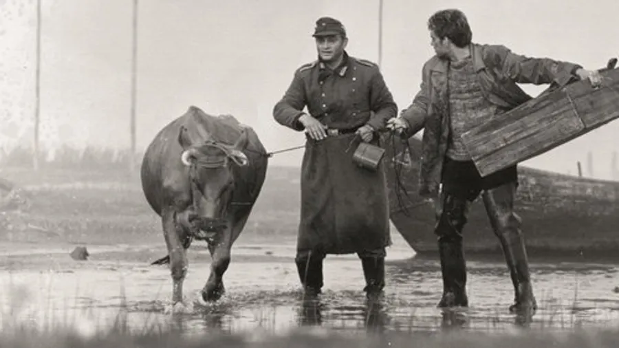 Медиа изображение