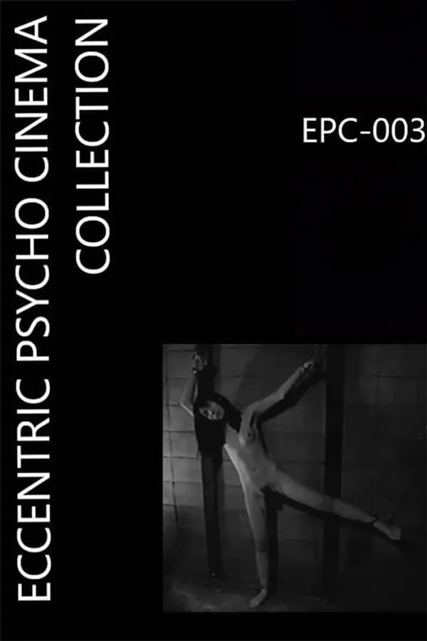 Female Body Collection: Stewardess Risa