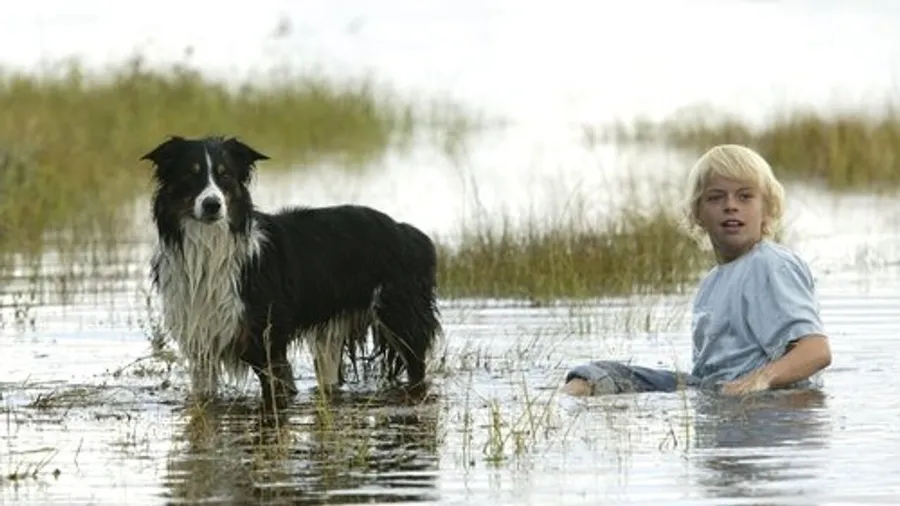 Медиа изображение