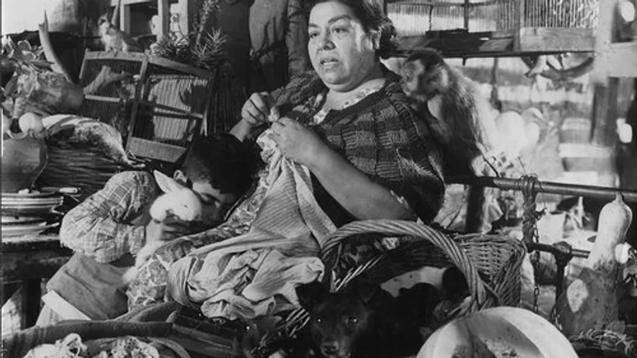 Медиа изображение