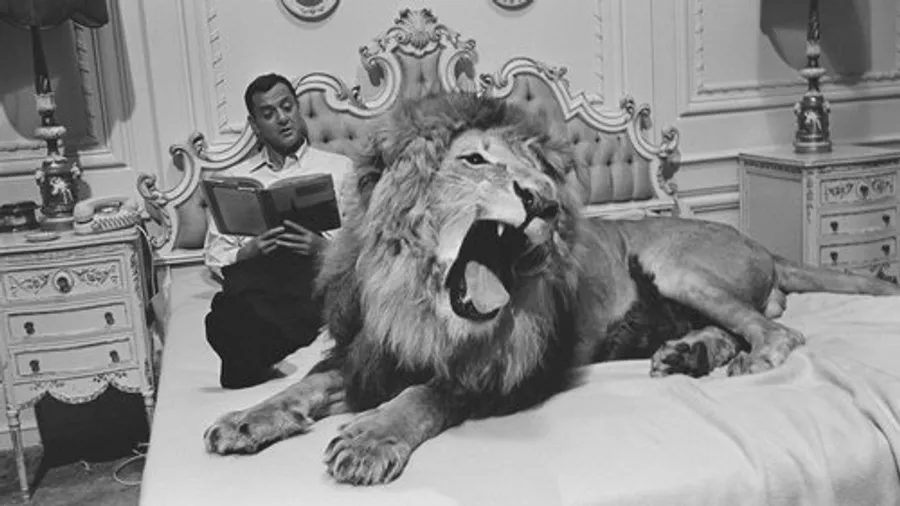 Медиа изображение