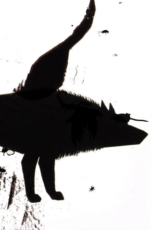 Медиа изображение