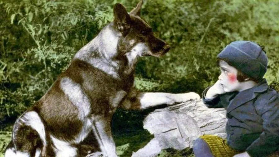 Медиа изображение