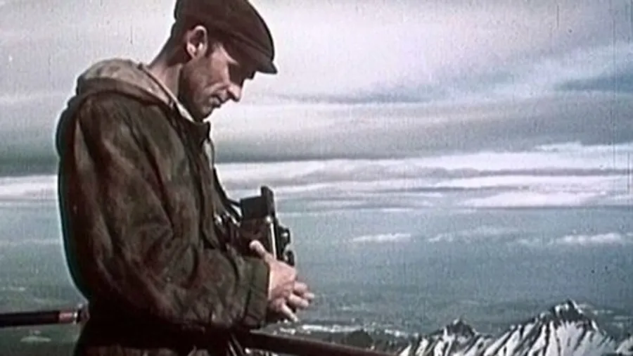 Медиа изображение