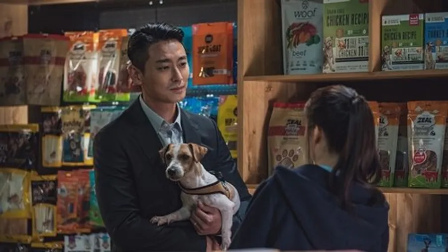 Медиа изображение