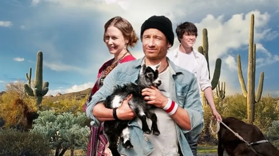 Медиа изображение