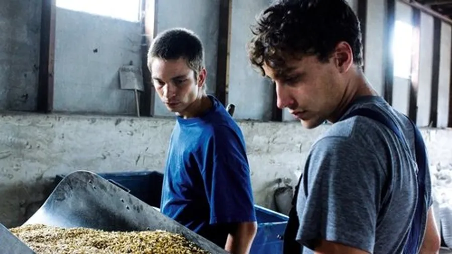 Медиа изображение