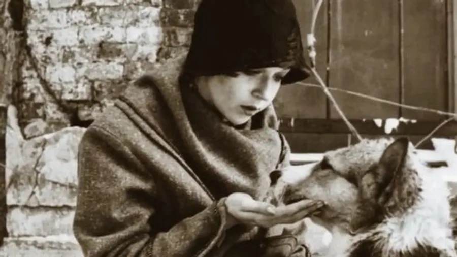 Медиа изображение