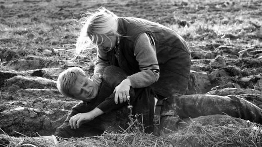 Медиа изображение