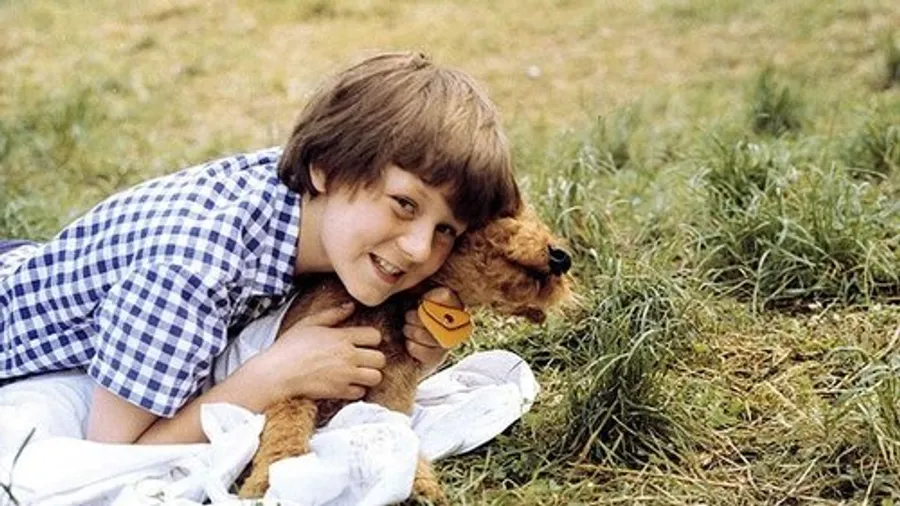 Медиа изображение