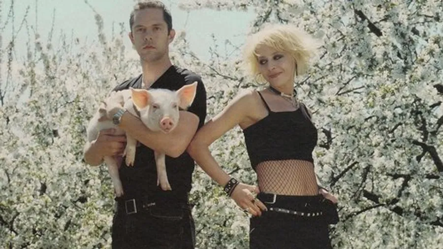 Медиа изображение