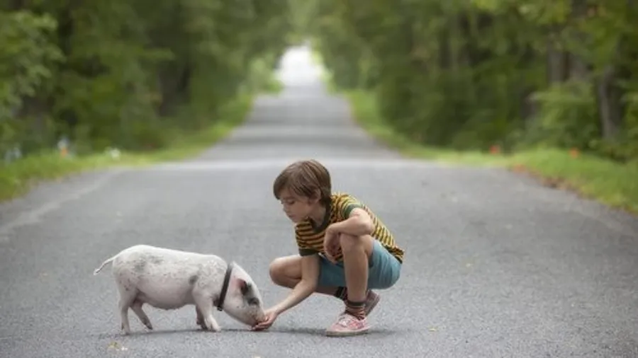 Медиа изображение